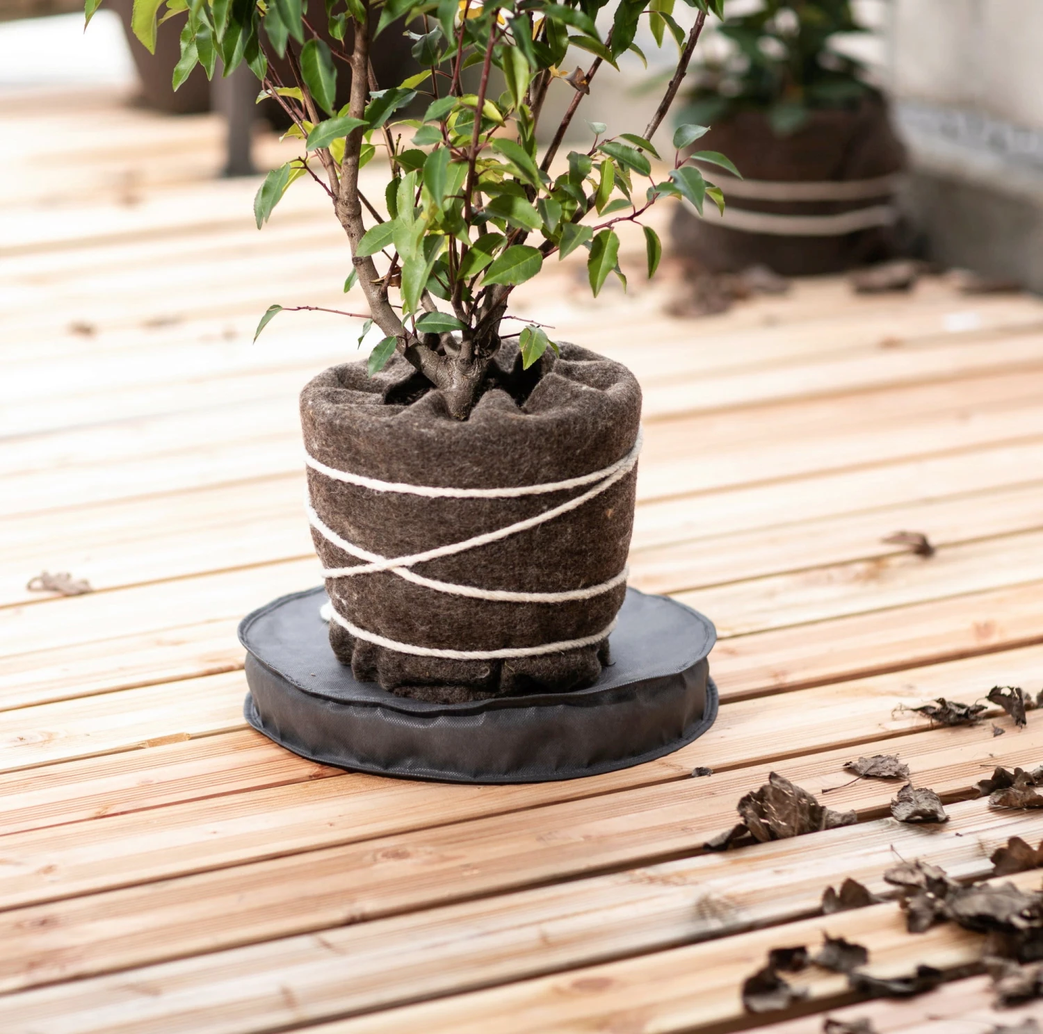 Windhager Sottovaso Antifreddo, Ø 35 Cm, 5 Cm 4 Windhager Sottovaso Antifreddo, Ø 35 Cm, 5 Cm - immagine 4