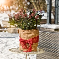 Windhager Tappetino Protettivo In Iuta Per Inverno, 0,5x4 M