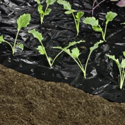 Windhager Telo Per Pacciamatura -Offerta Economica Verdi Giard windhager telo per pacciamatura 1 pz 761707 it