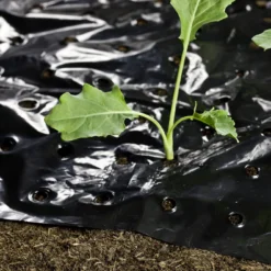 Windhager Telo Per Pacciamatura -Offerta Economica Verdi Giard windhager telo per pacciamatura 1 pz 761727 it