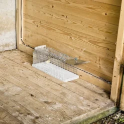 Windhager Trappola A Gabbia Per Ratti 9 Windhager Trappola A Gabbia Per Ratti -Offerta Economica Verdi Giard windhager trappola a gabbia per ratti 1 pz 658993 it