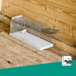 Windhager Trappola A Gabbia Per Ratti 7 Windhager Trappola A Gabbia Per Ratti -Offerta Economica Verdi Giard windhager trappola a gabbia per ratti 1 pz 659013 it