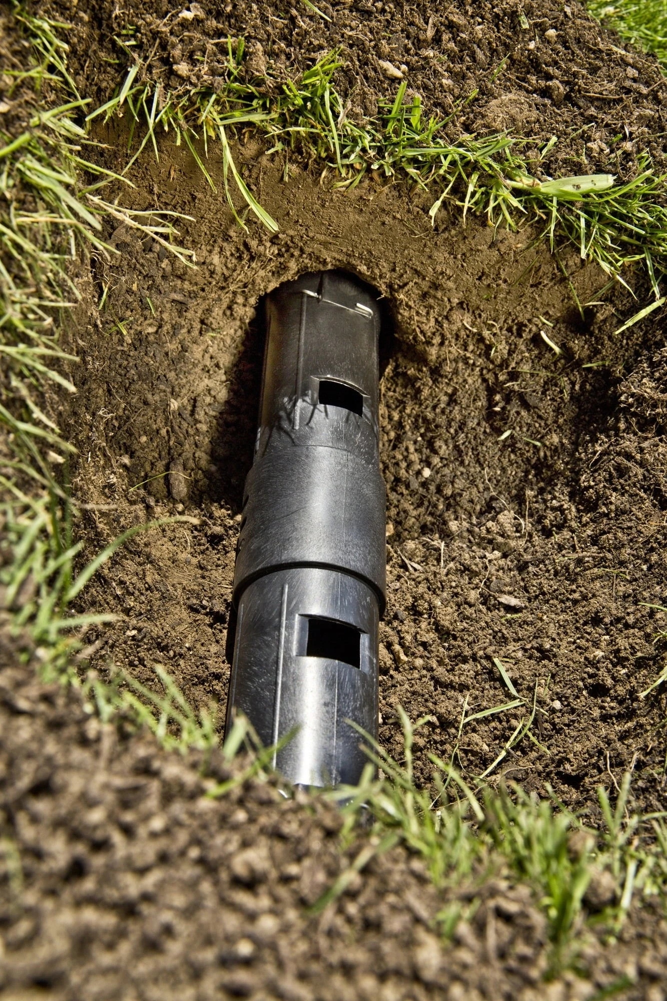 Windhager Trappola A Tubo Per Arvicola 1 Windhager Trappola A Tubo Per Arvicola