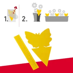 Windhager Trappola Adesiva, 10 Pz. -Offerta Economica Verdi Giard windhager trappola adesiva 10 k 1145249 it