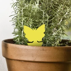 Windhager Trappola Adesiva, 10 Pz. -Offerta Economica Verdi Giard windhager trappola adesiva 10 st 899114 it