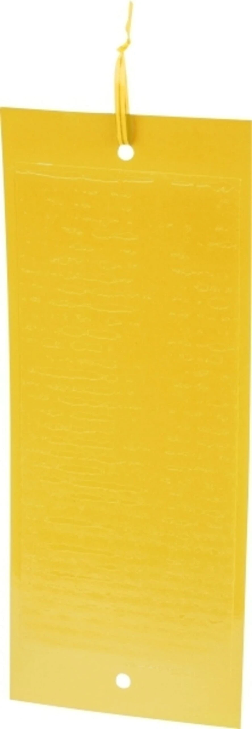 Windhager Trappola Adesiva Per Insetti 4 Windhager Trappola Adesiva Per Insetti - immagine 4