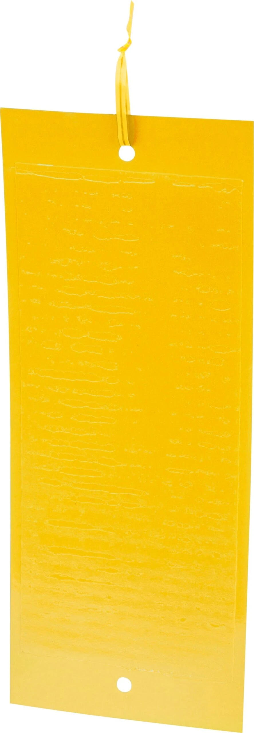 Windhager Trappola Adesiva Per Insetti 9 Windhager Trappola Adesiva Per Insetti - immagine 9