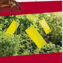 Windhager Trappola Adesiva Per Insetti 13 Windhager Trappola Adesiva Per Insetti -Offerta Economica Verdi Giard windhager trappola adesiva per insetti 1 set 1670489 it scaled