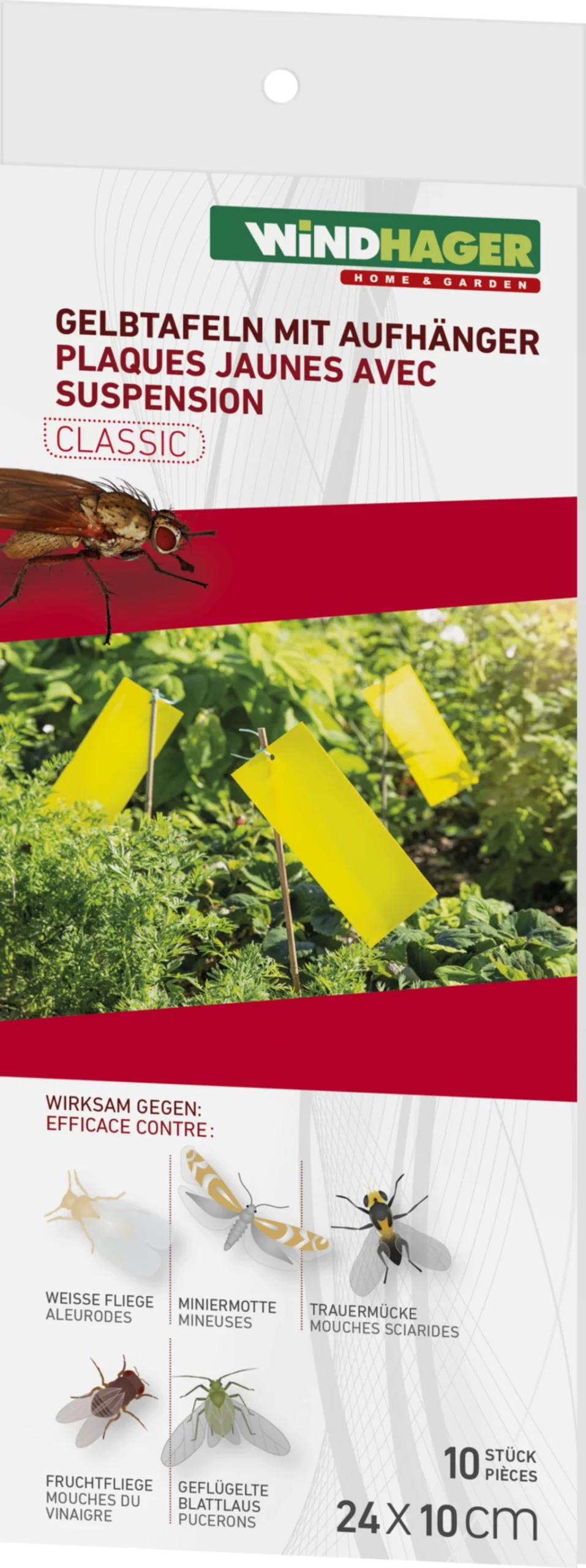 Windhager Trappola Adesiva Per Insetti 5 Windhager Trappola Adesiva Per Insetti - immagine 5