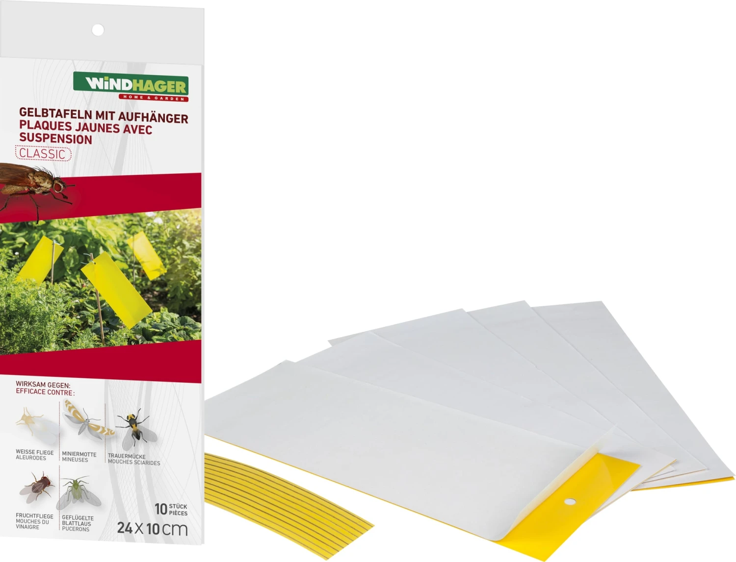 Windhager Trappola Adesiva Per Insetti 7 Windhager Trappola Adesiva Per Insetti - immagine 7