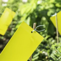 Windhager Trappola Adesiva Per Insetti 14 Windhager Trappola Adesiva Per Insetti -Offerta Economica Verdi Giard windhager trappola adesiva per insetti 1 set 760777 it