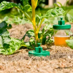 Windhager Trappola Per Lumache - DUO, 2 Pz. 9 Windhager Trappola Per Lumache - DUO, 2 Pz. -Offerta Economica Verdi Giard windhager trappola per lumache duo 2 k 958868 it