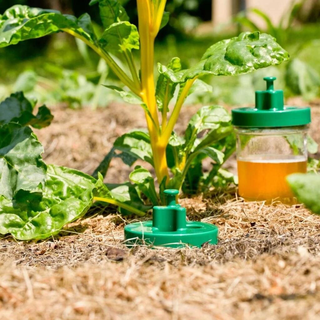 Windhager Trappola Per Lumache - DUO, 2 Pz. 5 Windhager Trappola Per Lumache - DUO, 2 Pz. - immagine 5