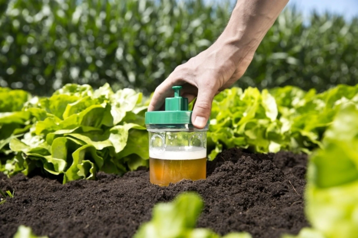 Windhager Trappola Per Lumache - DUO, 2 Pz. 3 Windhager Trappola Per Lumache - DUO, 2 Pz. - immagine 3