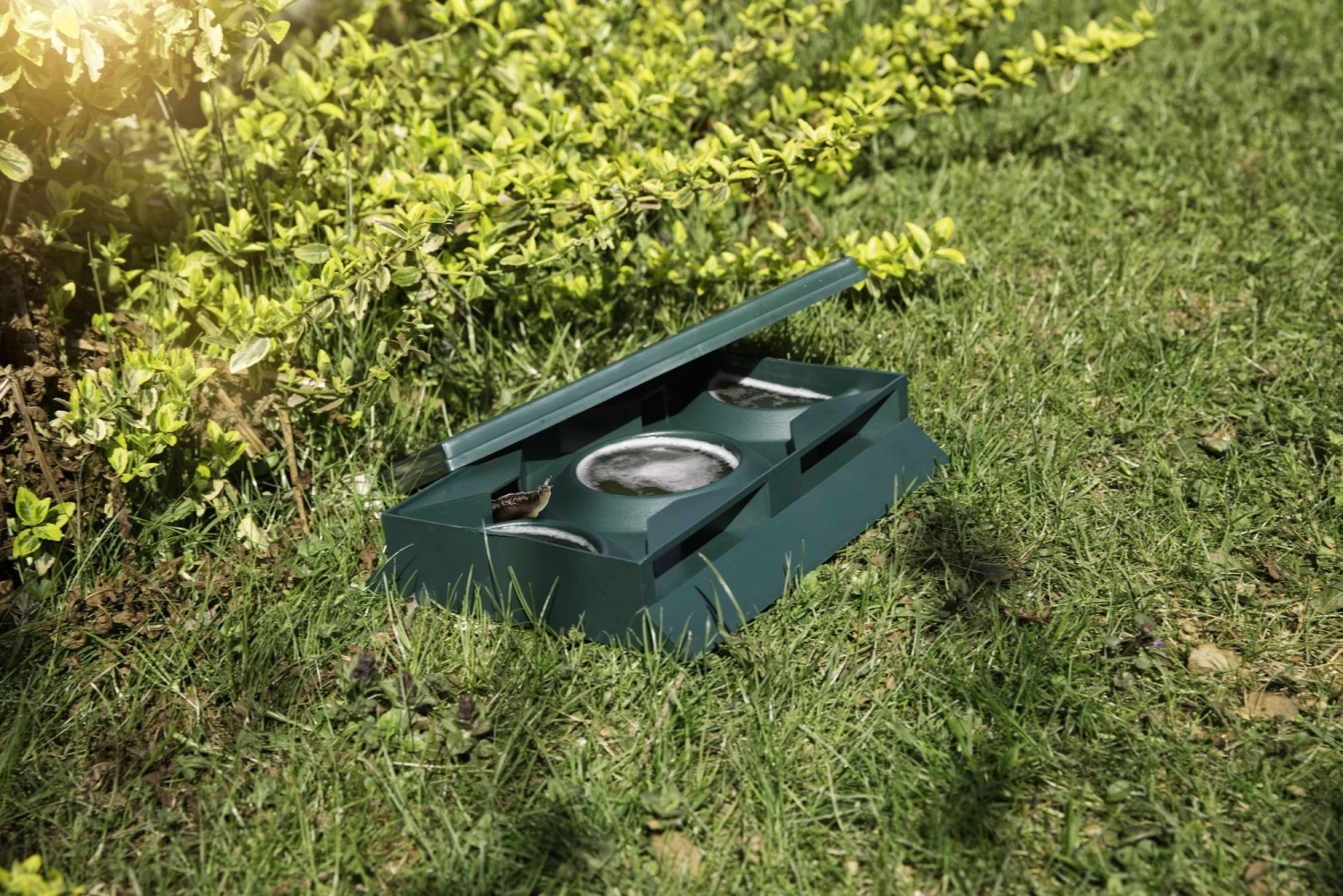 Windhager Trappola Per Lumache - Slug Away 1 Windhager Trappola Per Lumache - Slug Away