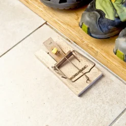 Windhager Trappola Per Ratti In Legno PEFC