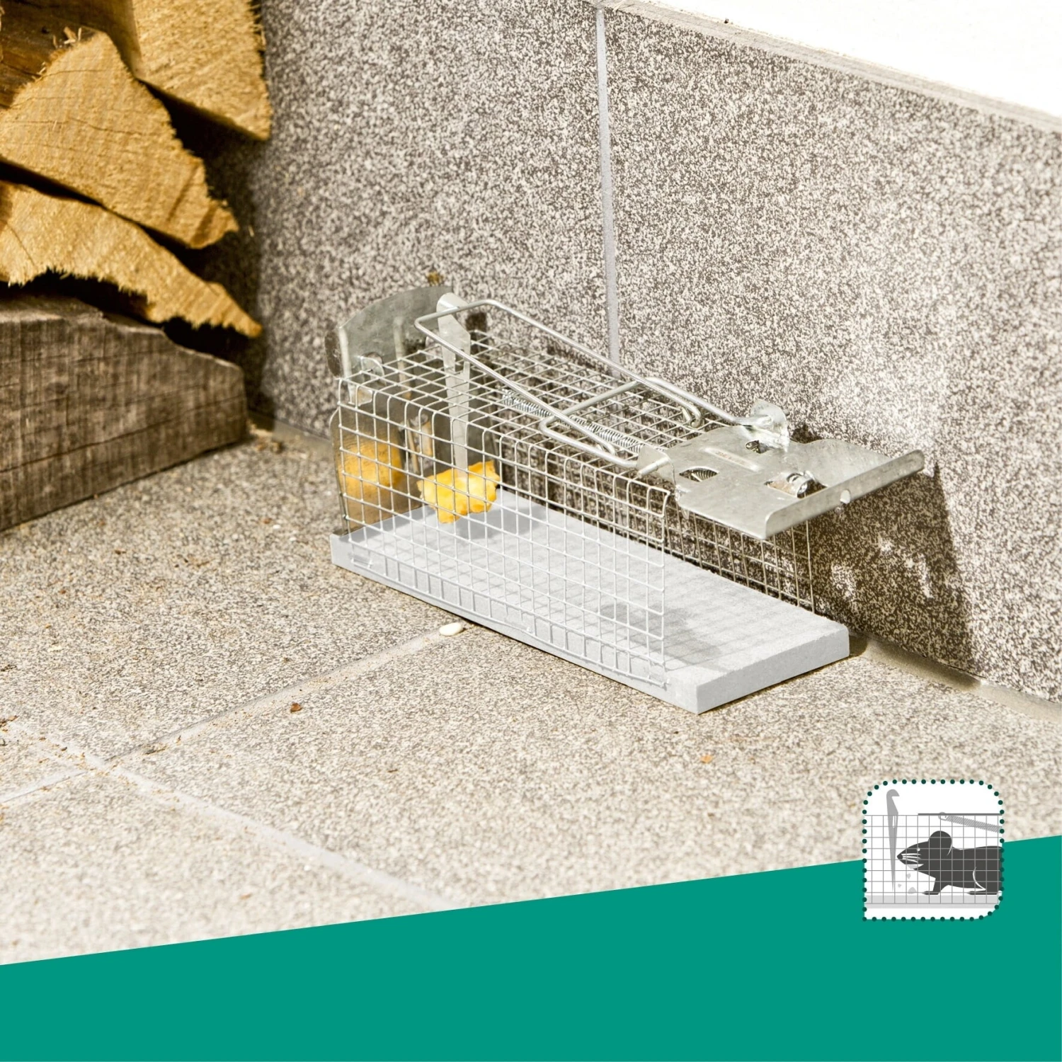 Windhager Trappola Per Topi 2 Windhager Trappola Per Topi - immagine 2