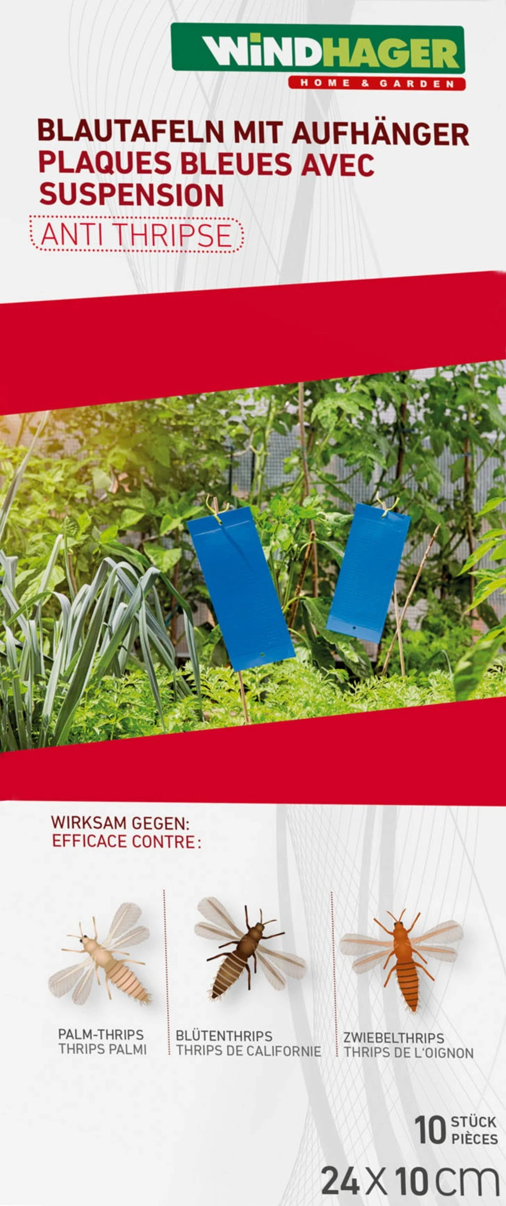 Windhager Trappole Blu Da Appendere, 10 Pz. 4 Windhager Trappole Blu Da Appendere, 10 Pz. - immagine 4