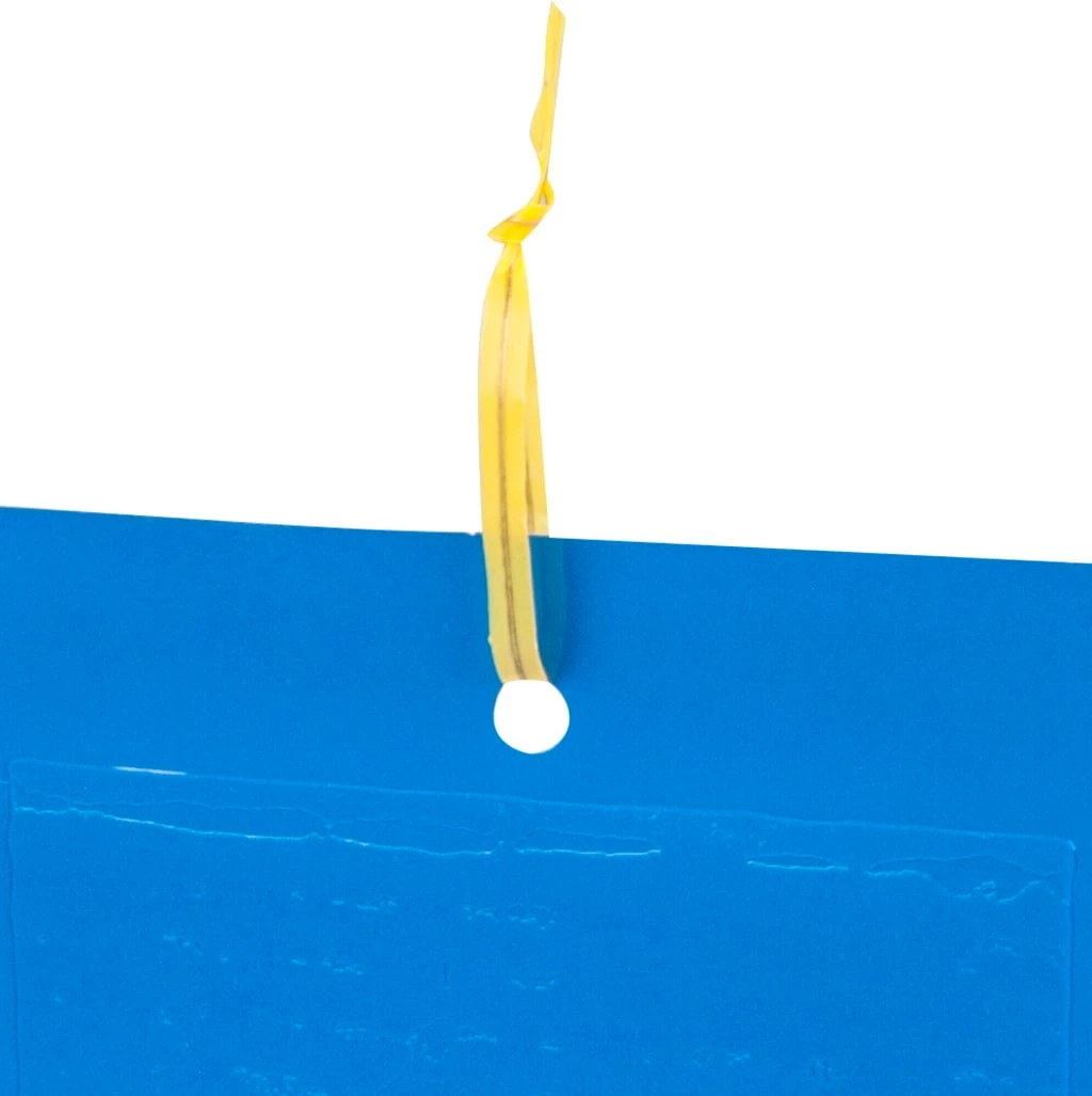 Windhager Trappole Blu Da Appendere, 10 Pz. 5 Windhager Trappole Blu Da Appendere, 10 Pz. - immagine 5